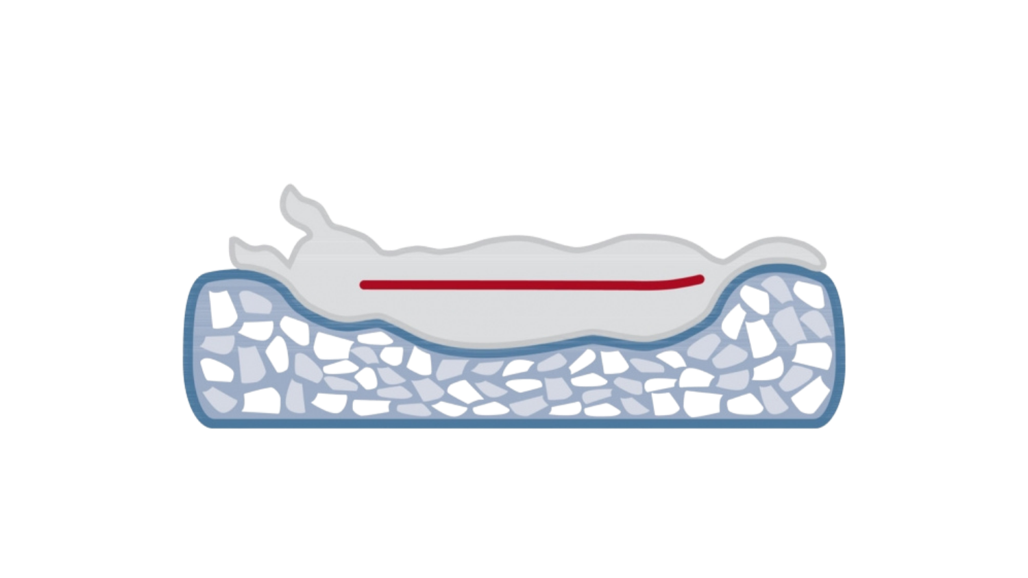Kissen Calito